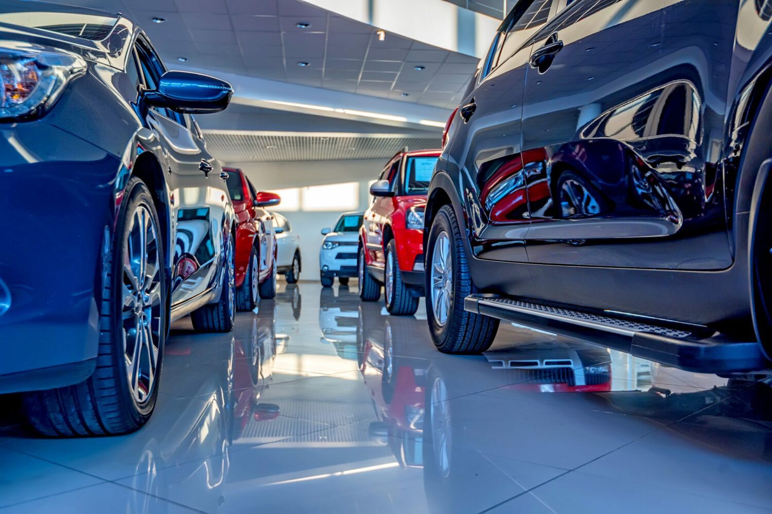 Automobile showroom with lines of cars